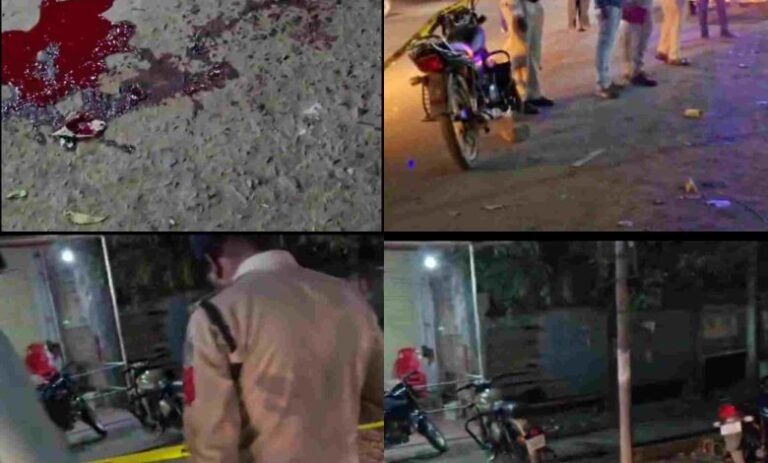 PhotoCollage_1761659886010-780x470.jpg