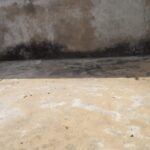 IMG_20260714_231804